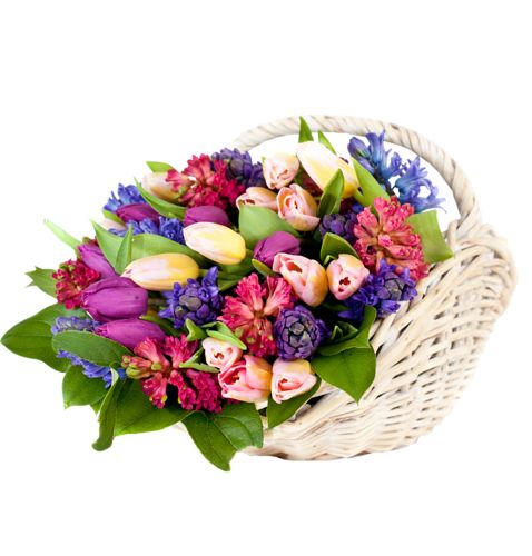 Свежие цветы